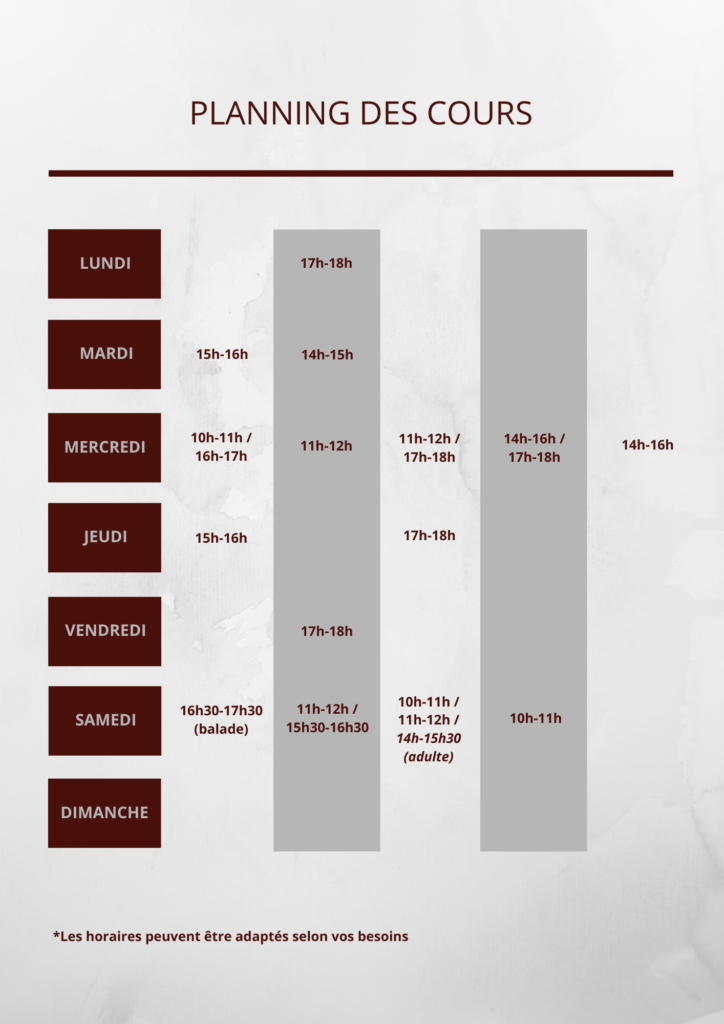 planning cours